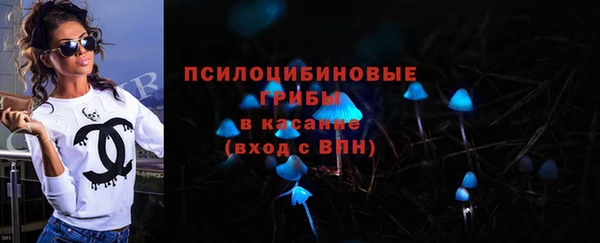 тгк Арсеньев