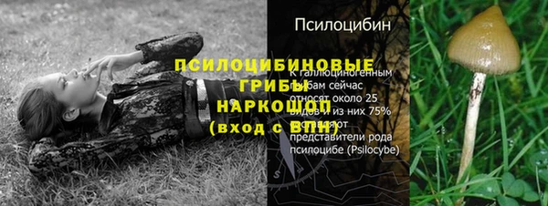 ГАЛЛЮЦИНОГЕННЫЕ ГРИБЫ Аркадак