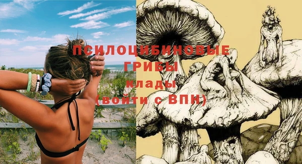 тгк Арсеньев