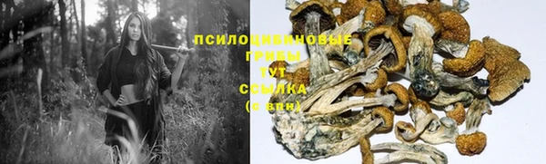 таблы Армянск