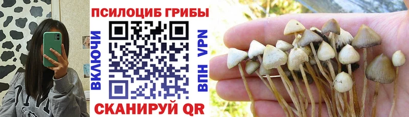 Галлюциногенные грибы Psilocybine cubensis  гидра ТОР  Ухта  цены наркотик 