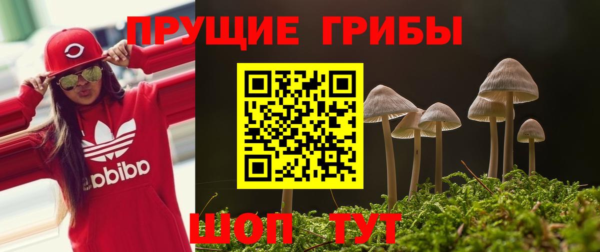 Псилоцибиновые грибы мицелий Ухта