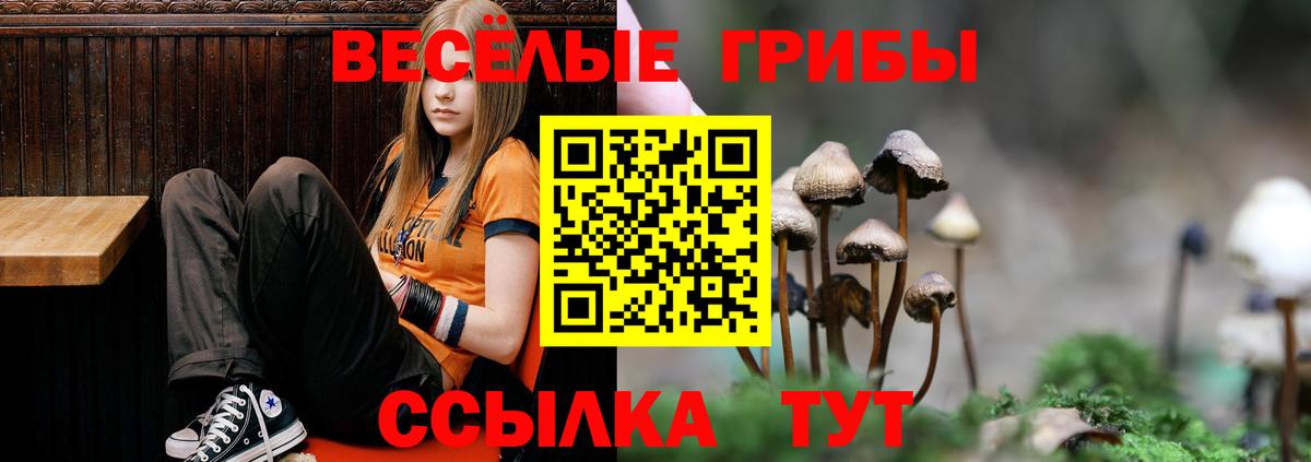 Галлюциногенные грибы Psilocybine cubensis  Вход с VPN  Ухта 